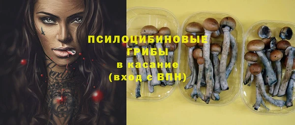 прущие крисы Алексин