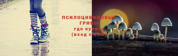 прущие крисы Алексин